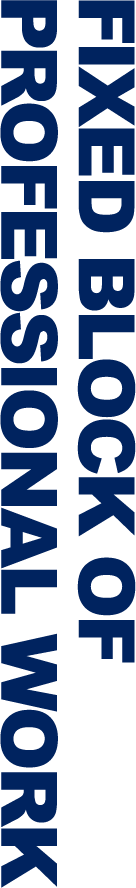 FIXED BLOCK OF PROFESSIONAL WORK